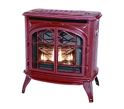 Echo Gas Stove